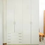 Confortevole Vicino Ospedale Moriggia- Giardino, Wi-fi E Parcheggio Apartment *